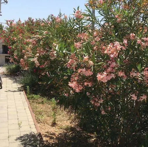 Haus Hanna Apartment